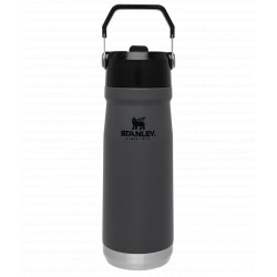 Gourde The IceFlow avec paille intégrée 650ml STANLEY gris - 1