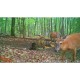 Caméra de chasse Wraith 2.0 LightsOut 26MP WILDGAME - 4