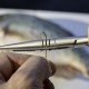 Pince de pêche Regal River SMITH'S 21.60cm - 3