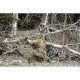 Tenue Ghillie Red Rock 5 Pièces M/L Camouflage Désert - 3