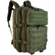 Sac à Dos Tactique Red Rock Large Assault 35L Olive Drab - 1