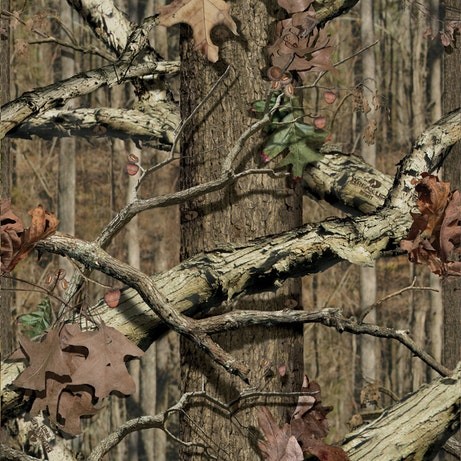 Branch Camo